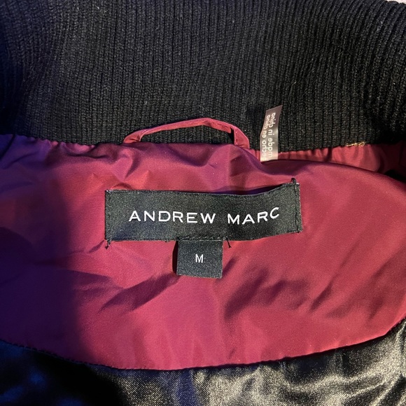 Red Vest - Picture 2 of 3